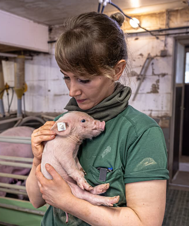 Samara Eckardt in Ferkelzuchtbetrieb mit Ferkel auf dem Arm